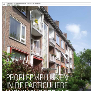 Probleemplukken in de particuliere woningvoorraad