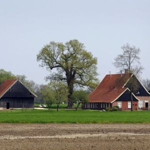 Verschillende kleuren Overijssel