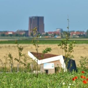 Organische ontwikkeling in PARK21