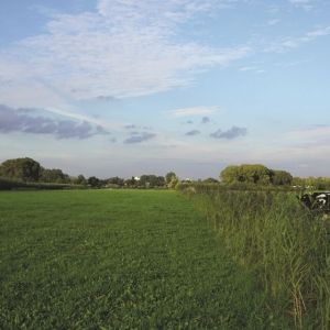 Ringpark Utrecht