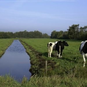 Ruimtelijke concurrentie voor de landbouw