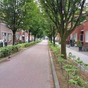 Eerlijke straten