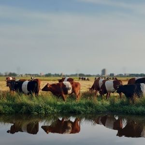 Natuurinclusief boeren